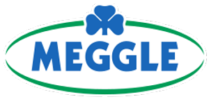 Logo Meggle