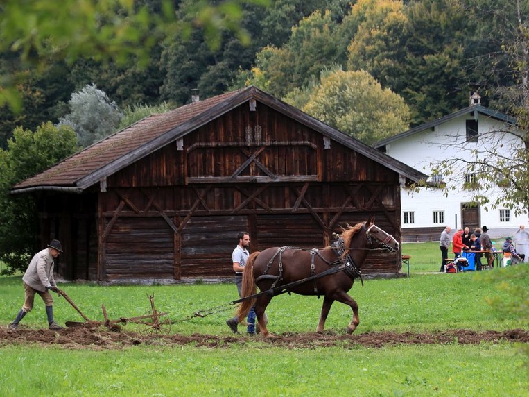 Freilichtmuseum Amerang