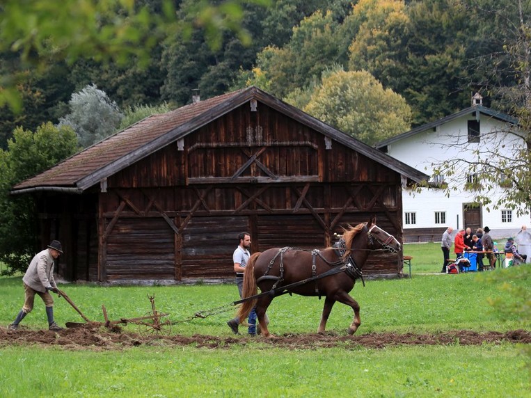 Bauernhausmuseum Amerang