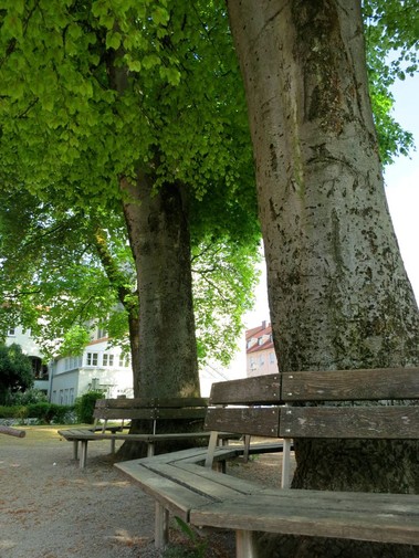 Spielplatz Palmanopark