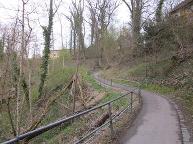 Totholz neben dem Kellerbergweg