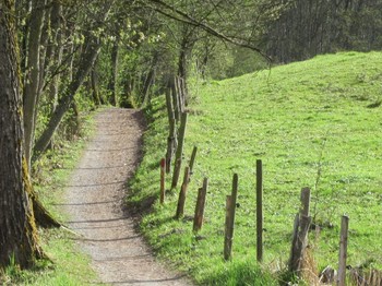 Wanderweg