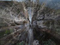 Garafia © Heidi Schmidinger.