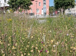 Parkplatz Unter der Rampe