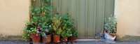 Nagelschmidgasse mit Blumen-Stilleben