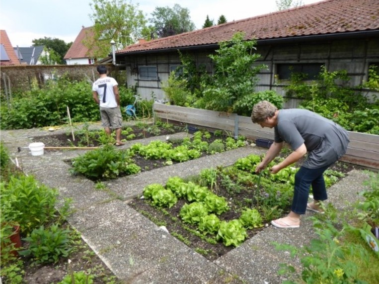 Beete am Stadler Garten