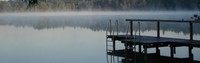 Morgenstimmung am Staudhamer See