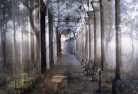 Wandelgang © Heidi Schmidinger.