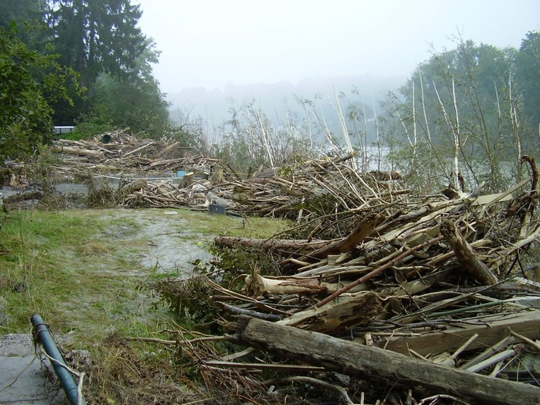 Schwemmholz nach dem Hochwasser