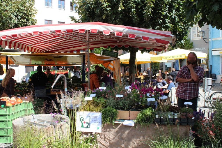 Bauernmarkt