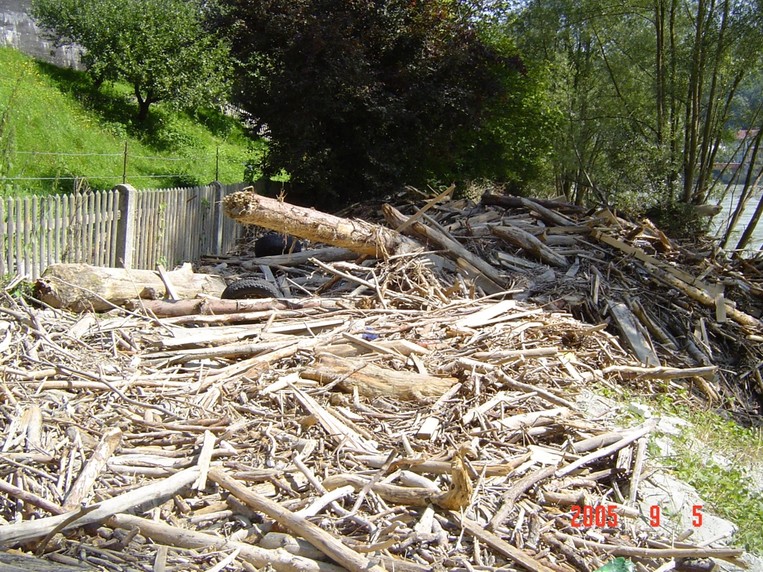 Schwemmholz nach dem Hochwasser