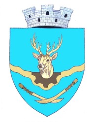 Wappen Cugir